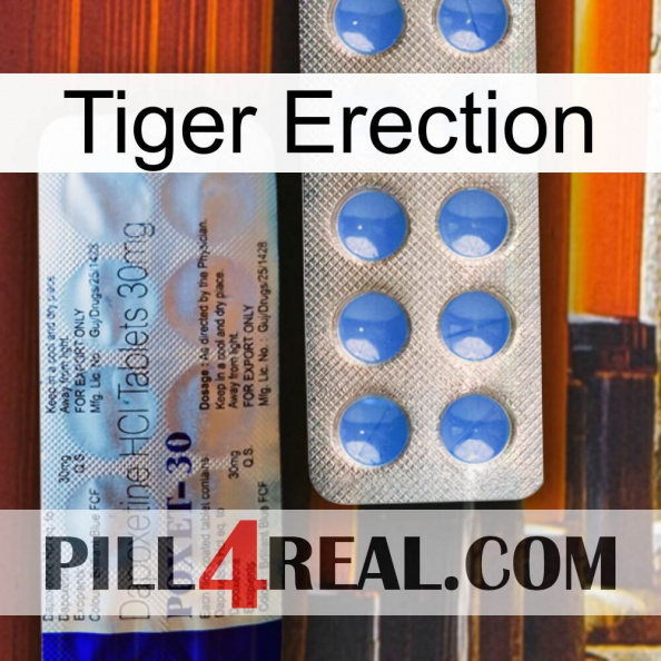 Tiger Erection 39.jpg